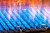 Llanfflewyn gas fired boilers